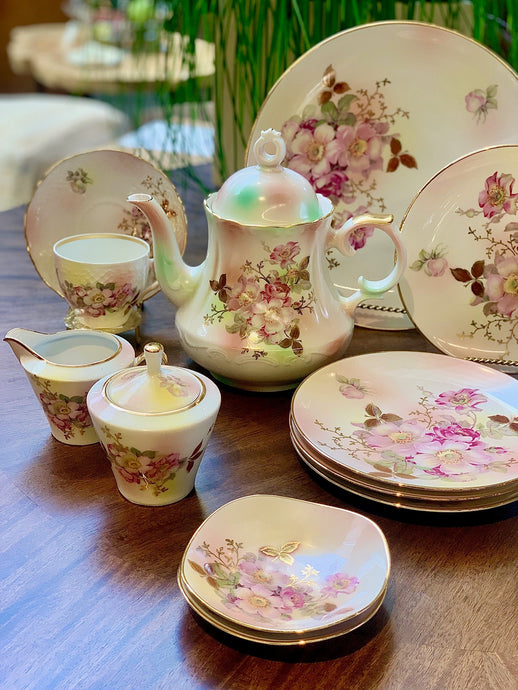 Vintage German Wild Rose China Tea Set