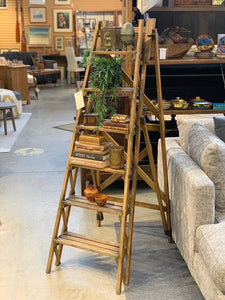 Rustic vintage decorative ladder shelf