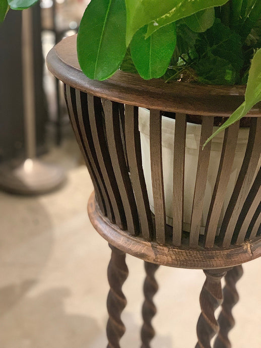 Oak Barley Twist Vintage Plant Stand