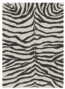 Zebra Safari Black