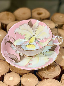 Paragon floating white orchid, double warrant teacup/saucer