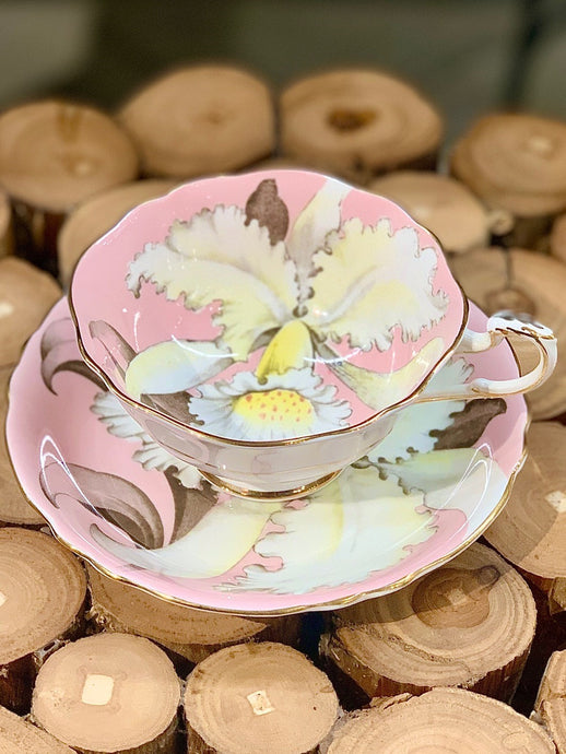 Paragon floating white orchid, double warrant teacup/saucer