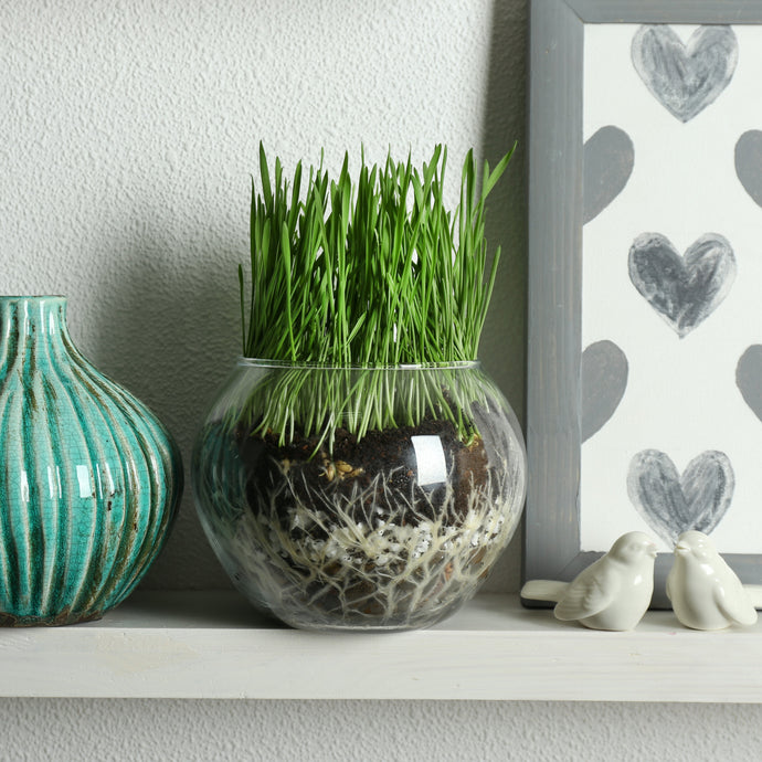 Decorative Accessories and Accents