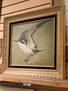 Unsigned, framed vintage acrylic bird painting